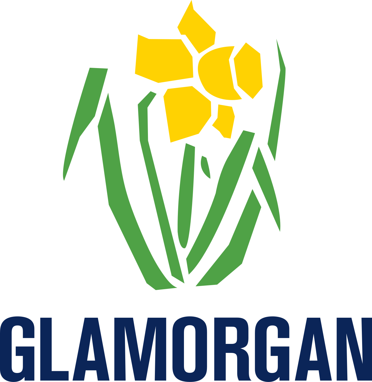 Glamorgan Logo